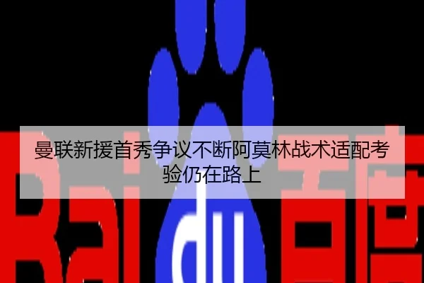 曼联新援首秀争议不断阿莫林战术适配考验仍在路上
