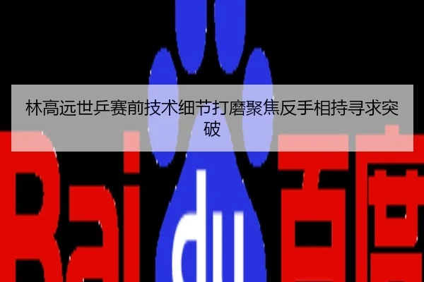 林高远世乒赛前技术细节打磨聚焦反手相持寻求突破